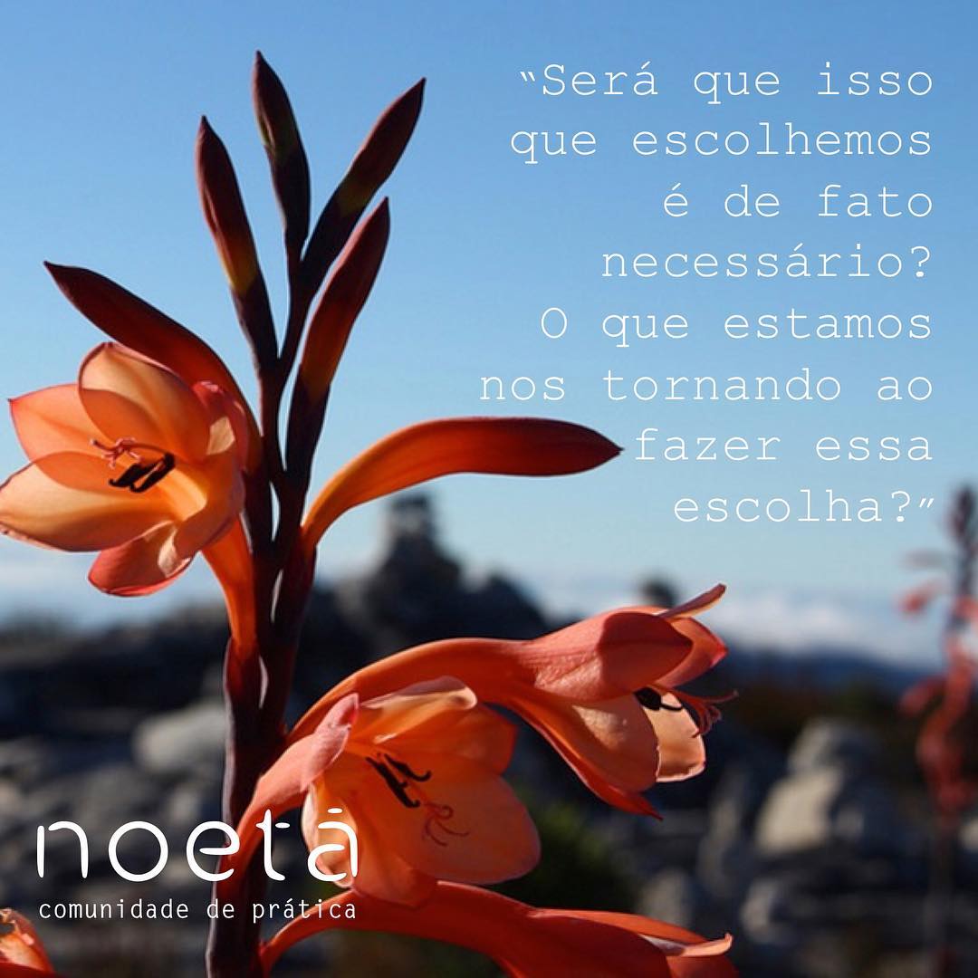 Conheça nossos parceiros: NOETÁ