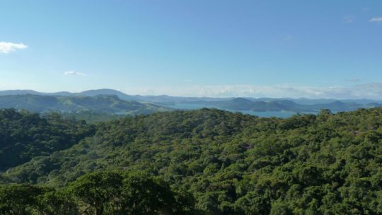 Banho de Floresta em Piracaia