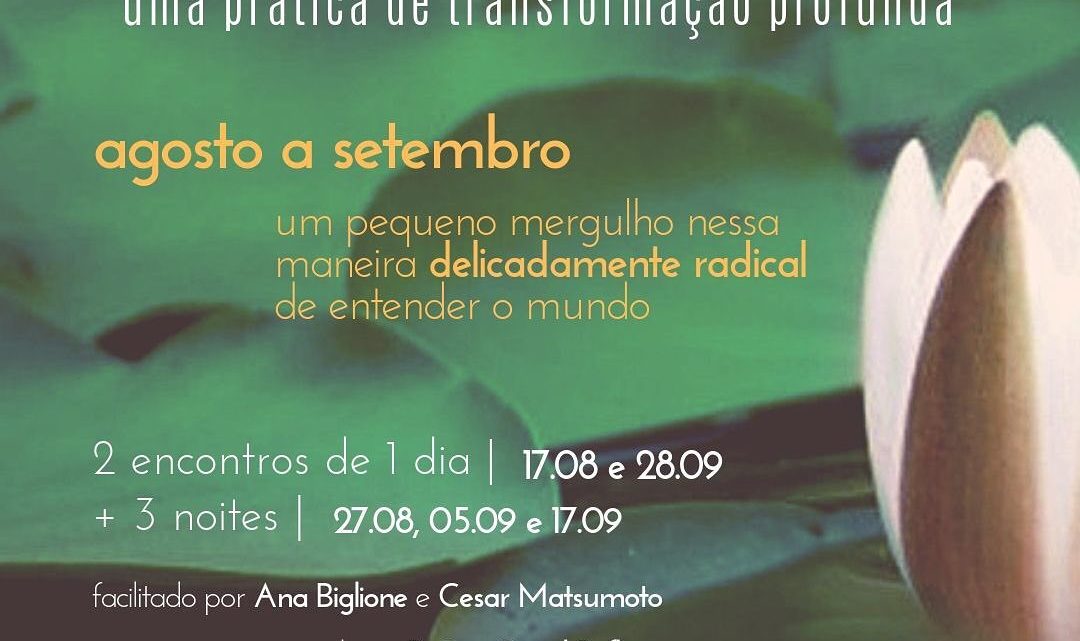 Ativismo delicado, uma prática de transformação profunda