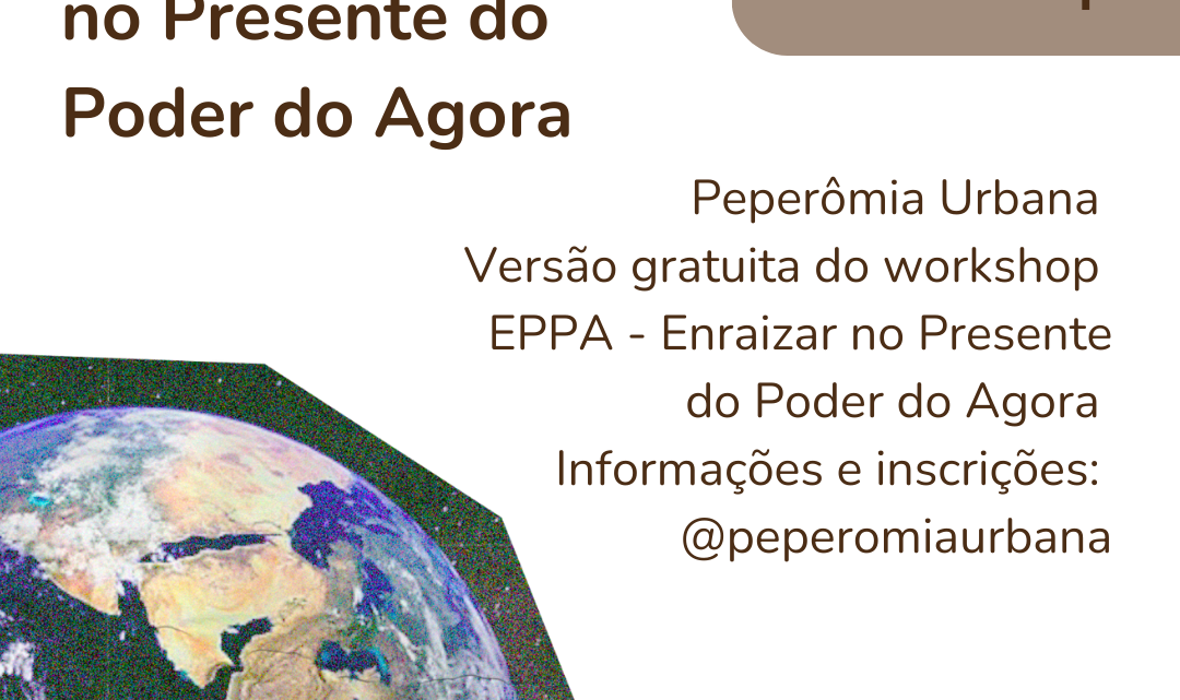 Peperômia Urbana: Versão gratuita do workshop EPPA