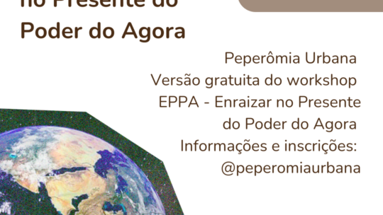 Peperômia Urbana: Versão gratuita do workshop EPPA