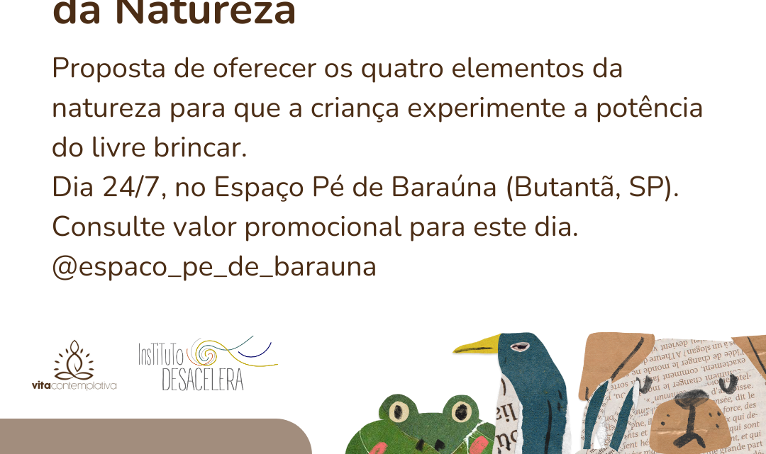 Brincar com Elementos da Natureza