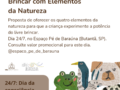 Brincar com Elementos da Natureza