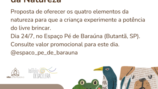 Brincar com Elementos da Natureza